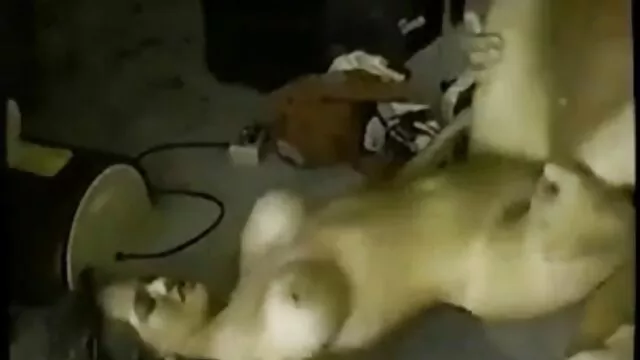 آلیس fucks دانلود فیلم سکسی زن مسن در صاحب مسن تر از آپارتمان