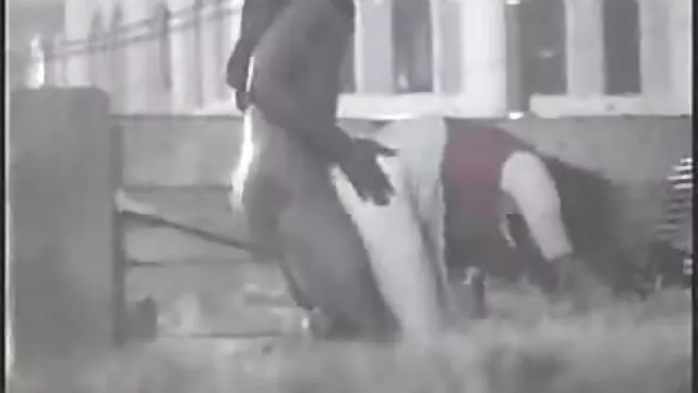 یک دختر سکس زن والاغ با چشمان باریک موهای قهوه ای بمکد دیک مودار