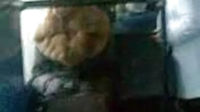 صاحب این مجموعه درس فیلم سکسی زنان سینه بزرگ دو چیز احمقانه را آموخته است